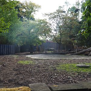 Second Indian rhinoceros paddock