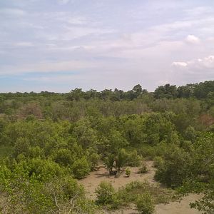 View of Kuala Selangor Taman Alam