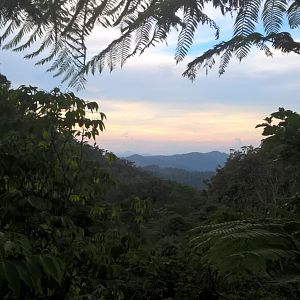 Sunset - Fraser's Hill