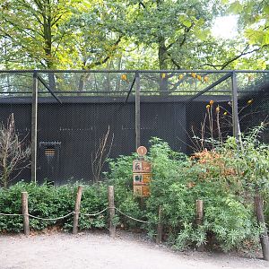 Aviary sun conure/crestless curassow/guira cuckoo