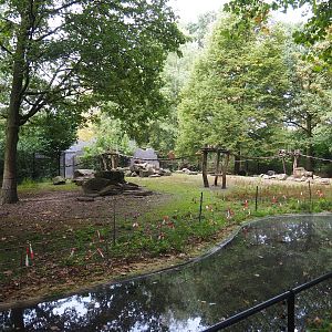 Chacoan peccary/Coati exhibit