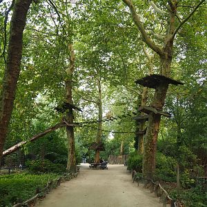 Coati climbing structures overhead visitor pathway