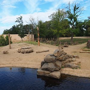 Asian elephant yard