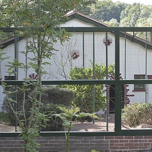 Cottage Aviary, 13th September 2018