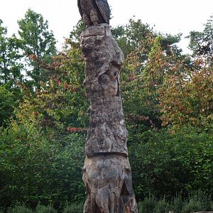 Totem pole with animal carvings