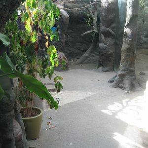 Terrariet Vissenbjerg - Southeast Asia - General view