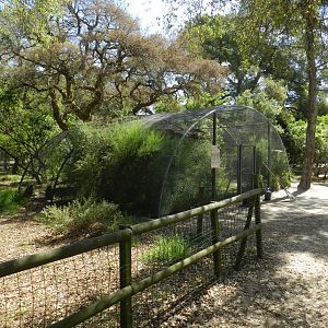 Typical cage for owls and parrots