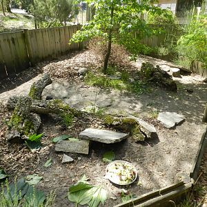 Tortoise enclosure