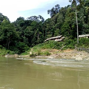 Orang Asli (Indigenous People) Village - Taman Negara