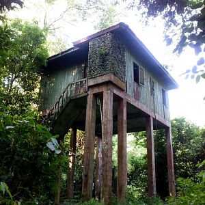 Kumbang Hide - Taman Negara