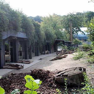 South American Exhibit
