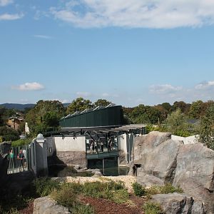 View of Polar Bear Exhibit