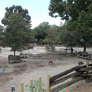 Asian Rhino Enclosure