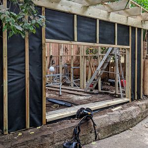 Tortoise House - 14/09/2018