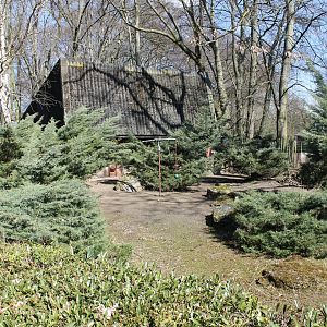 Mountain anoa enclosure