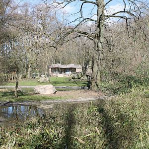 Pelican - Aldabra tortoise-outdoor-enclosure
