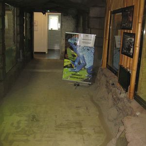 Terrariet Vissenbjerg - General view