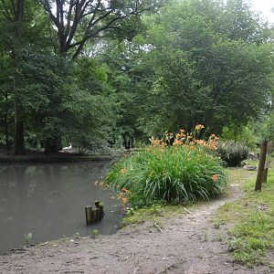 Pelican Lake at Pescheray, 13/06/18