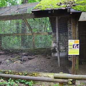 Alpine Marmot Enclosure at Pescheray, 13/06/18