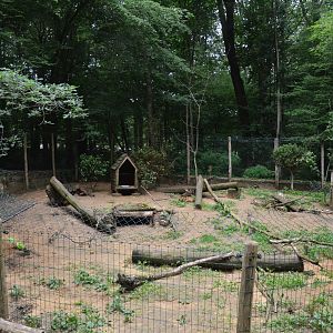 Red Fox Enclosure at Pescheray, 13/06/18