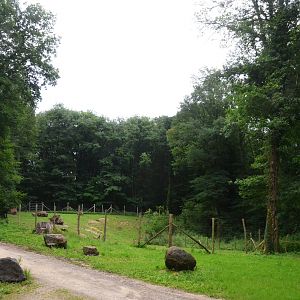 Alpine Ibex Enclosure at Pescheray, 13/06/18