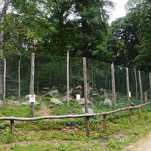 Girffon Vulture Enclosure at Pescheray, 13/06/18