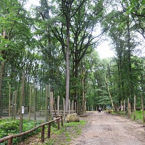 General View at Pescheray, 13/06/18