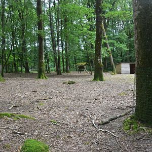 Pyrenean Chamois Enclosure at Pescheray, 13/06/18