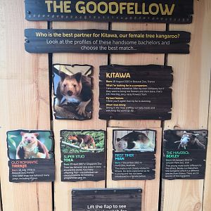 Tree Kangaroo educational signage