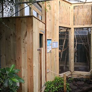 Zona Brazil Lion Tamarin Exhibit