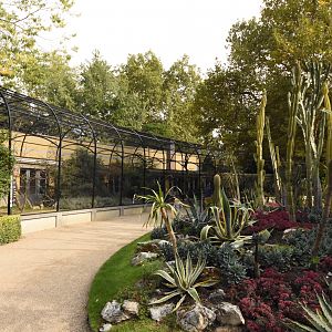 Cactus garden & Bird house