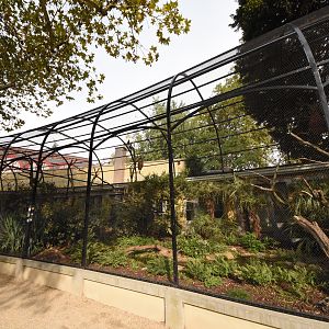 Bird house - S-American aviary