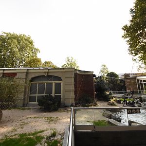 African penguin enclosure