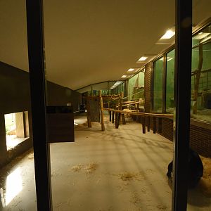 Chimpanzee indoor enclosure extension