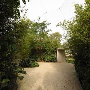 Great apes - visitor path