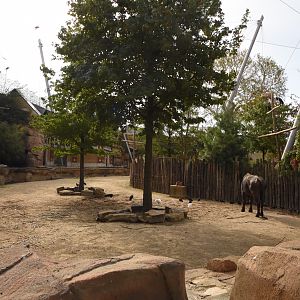 Buffalo aviary