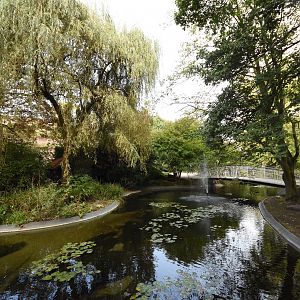 Former cormorant pond