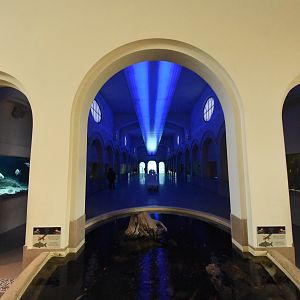 Aquarium