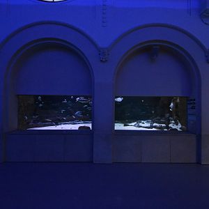 Aquarium