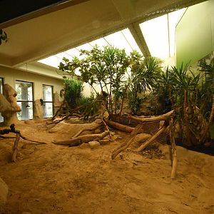 Reptile house - Komodo dragon enclosure