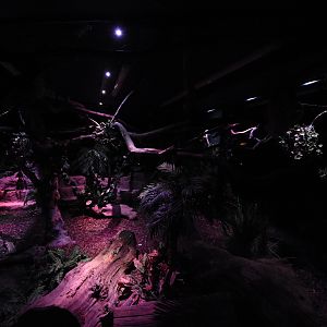 Nocturama - S-American enclosure