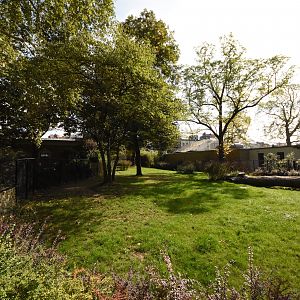 Main okapi enclosure