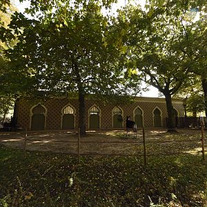 Moorish house - Okapi outdoors