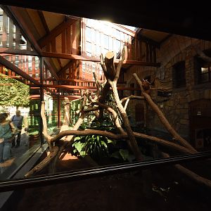 Small mammal house - Tree kangaroo