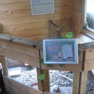 Pancake Tortoise hutch!