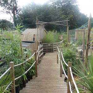 Boardwalk to small carnivores