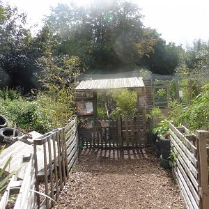 Asian Palm Civet enclosure