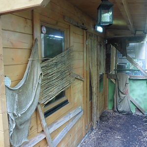 Ring-tailed & Red-fronted Lemur Shed