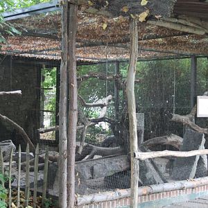 Kea-aviary