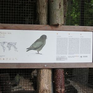 Sign Kea